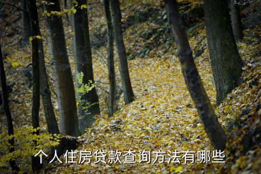 怎么樣查詢房屋貸款，個人住房貸款查詢方法有哪些