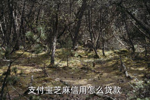芝麻信用634怎么貸款，我征信很好為什么辦不了信用卡啊芝麻信用634分貸款十萬元