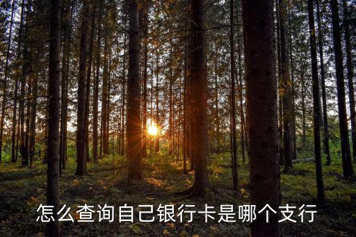 怎么查看支行，知道銀行卡號(hào)怎么查找支行