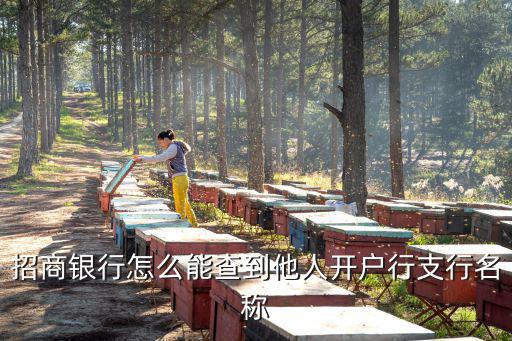 招商銀行怎么能查到他人開戶行支行名稱