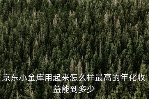 京東小金庫(kù)用起來怎么樣最高的年化收益能到多少