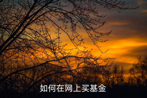 網(wǎng)上怎么買基金，網(wǎng)上買基金怎么操作