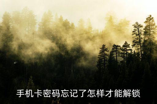 手機卡密碼忘記了怎樣才能解鎖