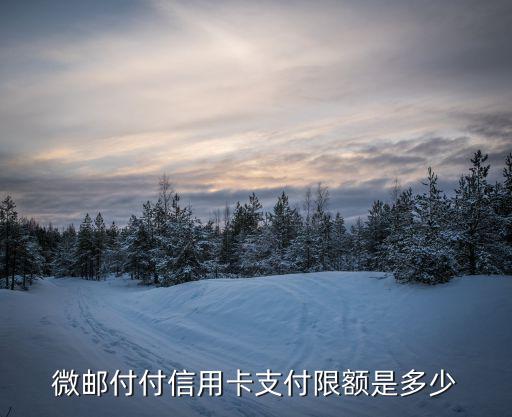 微郵付付信用卡支付限額是多少
