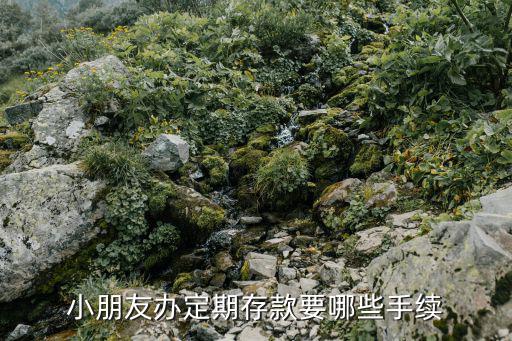 小朋友辦定期存款要哪些手續(xù)