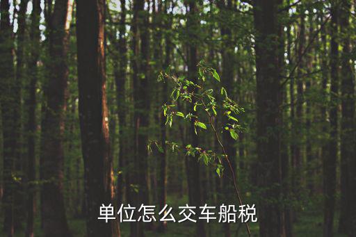 單位怎么交車船稅
