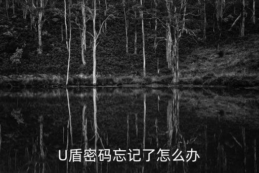 U盾密碼忘記了怎么辦