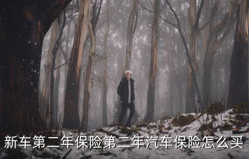 第二年車險(xiǎn)怎么買，第二年的車險(xiǎn)怎么買