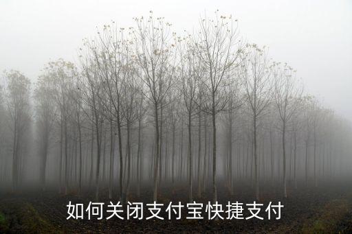 快捷支付怎么取消，如何關(guān)閉支付寶快捷支付