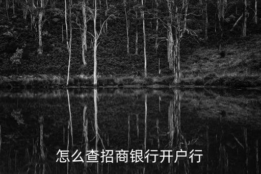 怎么查招商銀行開(kāi)戶名，怎么查詢招商銀行卡的開(kāi)戶行