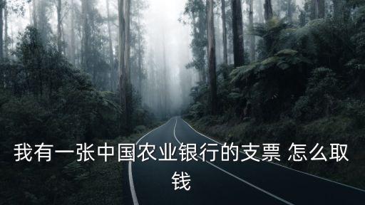 農(nóng)行怎么取支票，我在農(nóng)業(yè)銀行開了基本賬戶怎么領(lǐng)取支票
