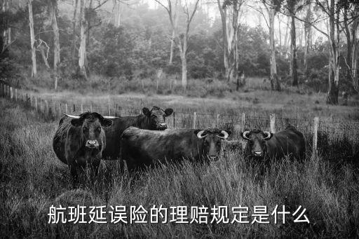買了深航延誤險(xiǎn)怎么賠，購(gòu)買機(jī)票延誤險(xiǎn)怎樣理賠