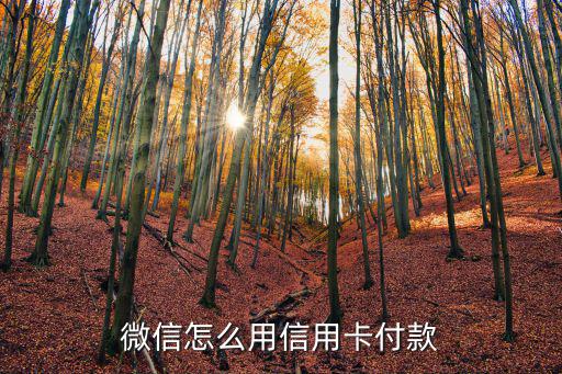 怎么用微信信用卡支付，怎么用微信刷信用卡
