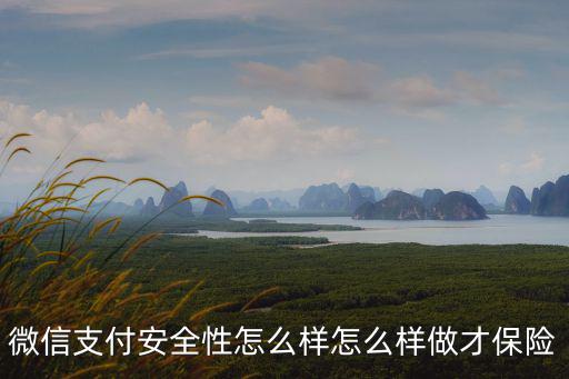 微信支付安全性怎么樣怎么樣做才保險