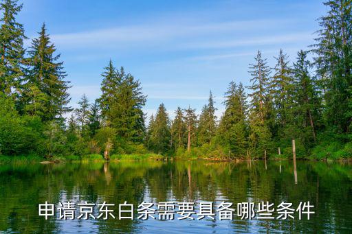 申請京東白條需要具備哪些條件