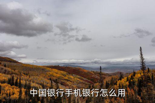 手機銀行怎么用，如何使用手機銀行