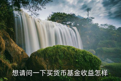 貨幣基金怎么樣，貨幣基金收益怎么樣