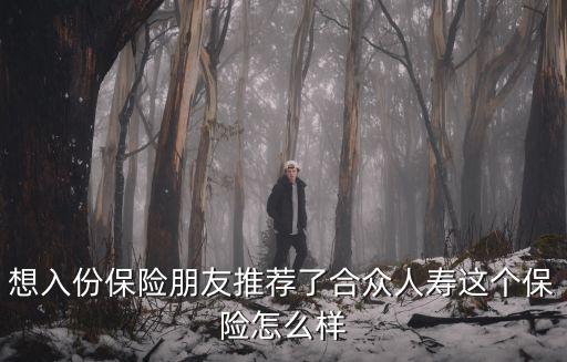 想入份保險朋友推薦了合眾人壽這個保險怎么樣