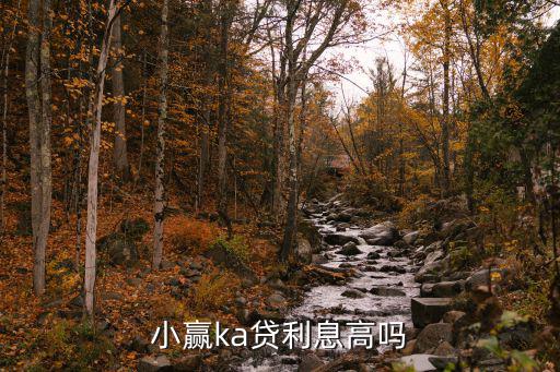 小贏ka貸利息高嗎