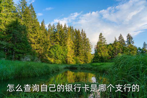 怎么查看自己的支行，怎么查詢自己的銀行卡是哪個(gè)支行的