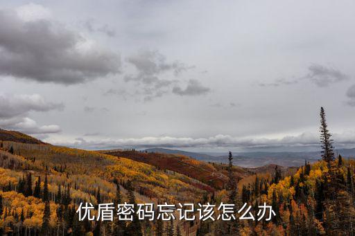 優(yōu)盾密碼忘記該怎么辦
