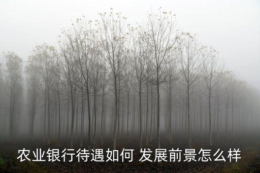 銀行未來(lái)待遇怎么樣，銀行待遇怎么樣