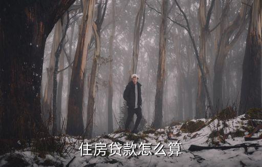 貸款房子怎么計(jì)算貸款，住房貸款怎么算