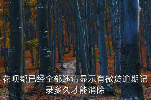 花唄都已經(jīng)全部還清顯示有微貸逾期記錄多久才能消除
