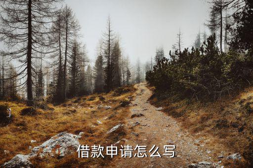貸款申請書怎么寫，借款申請怎么寫
