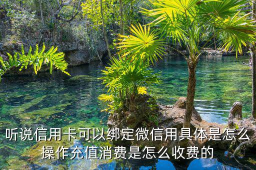 聽說信用卡可以綁定微信用具體是怎么操作充值消費是怎么收費的