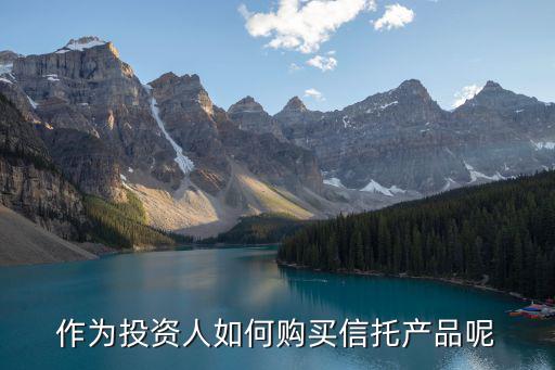 怎么買信托基金，信托基金在哪里可以買到