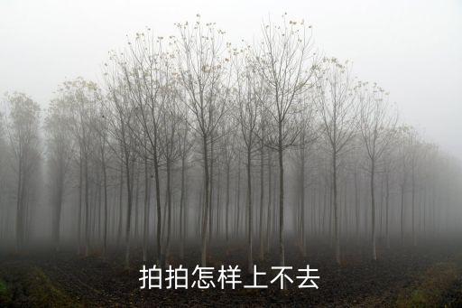 拍拍怎樣上不去