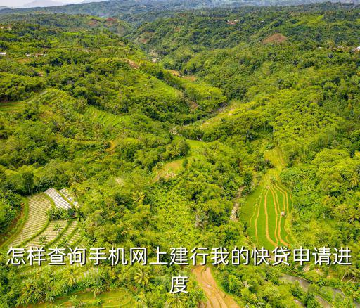 怎樣查詢手機(jī)網(wǎng)上建行我的快貸申請(qǐng)進(jìn)度