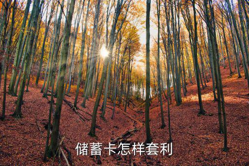 儲(chǔ)蓄卡怎樣套利
