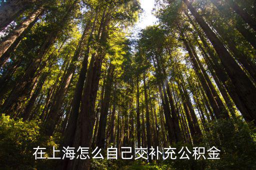 在上海怎么自己交補(bǔ)充公積金