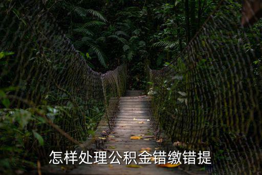 怎樣處理公積金錯繳錯提