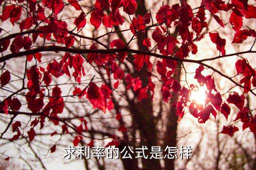 利率怎么算，求利率的公式是怎樣