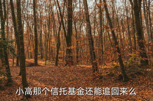 高小鳳信托基金怎么辦，高小琴給孩子存的信托基金會(huì)被沒收嗎