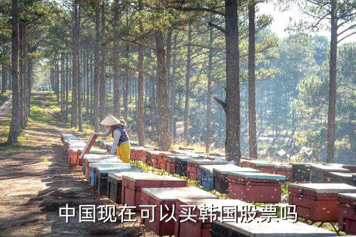 怎么買韓國股票，中國現(xiàn)在可以買韓國股票嗎