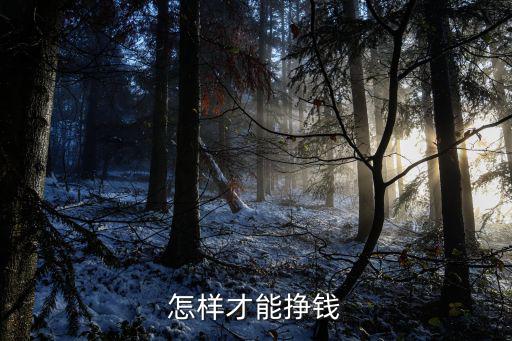 怎樣才能掙錢(qián)