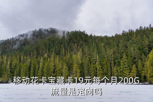 移動花卡寶藏卡19元每個月200G流量是定向嗎
