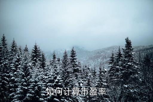 市盈率怎么算，如何計算股票指數(shù)的市盈率