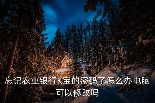 忘記農(nóng)業(yè)銀行K寶的密碼了怎么辦電腦可以修改嗎