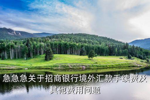 招行美元轉(zhuǎn)賬怎么收費(fèi)，急急急關(guān)于招商銀行境外匯款手續(xù)費(fèi)及其他費(fèi)用問題