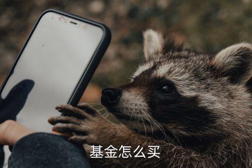 基金怎么買(mǎi)