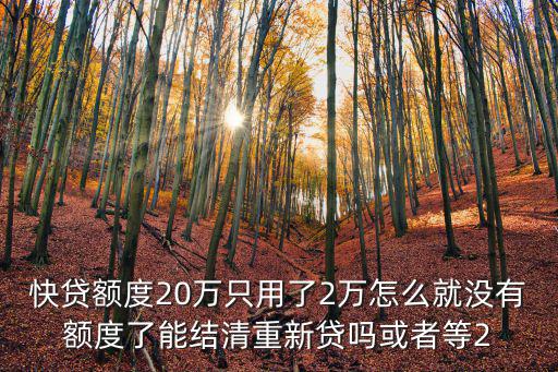 快貸額度20萬(wàn)只用了2萬(wàn)怎么就沒(méi)有額度了能結(jié)清重新貸嗎或者等2