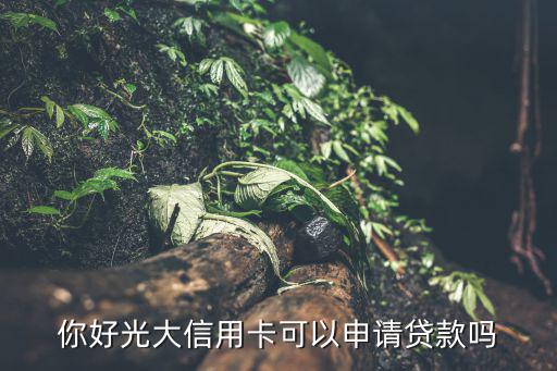你好光大信用卡可以申請(qǐng)貸款嗎