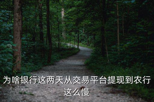 為啥銀行這兩天從交易平臺提現(xiàn)到農(nóng)行這么慢