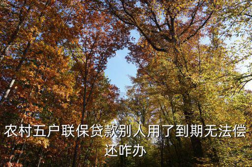 農(nóng)村五戶聯(lián)保貸款別人用了到期無法償還咋辦