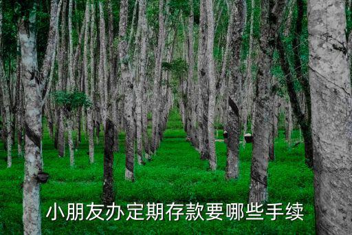給小孩定期存款怎么辦，小朋友辦定期存款要哪些手續(xù)